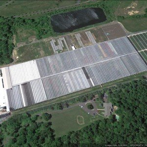 Dan Schantz Farm & Greenhouses, LLC.