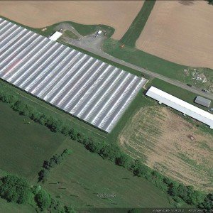 Dan Schantz Farm & Greenhouses, LLC.