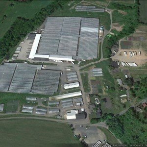 Dan Schantz Farm & Greenhouses, LLC.